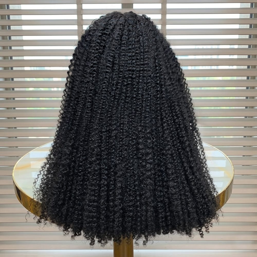 Afro Kinky Curly HD Lace Super Natural Lace Frontal Human Hair Wigs Black LINKTOWIG