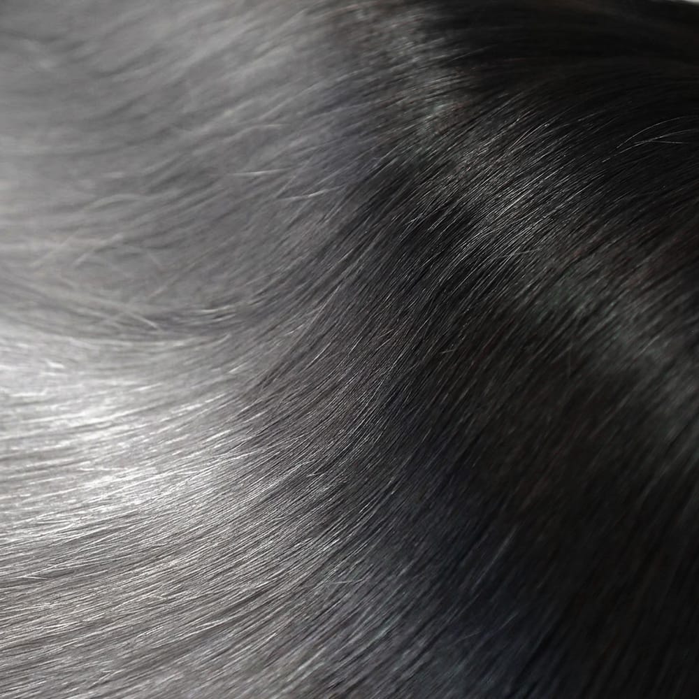 Bone Straight HD Lace Super Natural Lace Frontal Human Hair Wigs Dark Roots LINKTOWIG