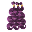 Body Wave 100% Raw Virgin  Human Hair Bundles - (No Weft) Bulk Hair  3 Bundles / Violet Purple LINKTOWIG