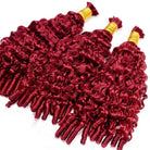 Burmese Curly 100% Raw Virgin  Human Hair Bundles - (No Weft) Bulk Hair  3 Bundles / Ruby Red LINKTOWIG