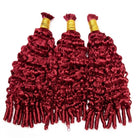 Burmese Curly 100% Raw Virgin  Human Hair Bundles - (No Weft) Bulk Hair  3 Bundles / Ruby Red LINKTOWIG
