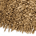 Burmese Curly HD Lace Super Natural Lace Frontal Human Hair Wigs Dirty Blonde LINKTOWIG