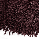 Burmese Curly HD Lace Super Natural Lace Frontal Human Hair Wigs Violet Purple LINKTOWIG