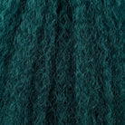 Coarse Yaki HD Lace Super Natural Lace Frontal Human Hair Wigs Teal Green LINKTOWIG