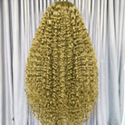 Deep Wave HD Lace Super Natural Lace Frontal Human Hair Wigs Green LINKTOWIG