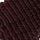 Deep Wave HD Lace Super Natural Lace Frontal Human Hair Wigs Plum Red LINKTOWIG