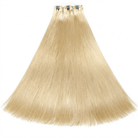 Hair Weft Luxury Natural Straight  — 100% Virgin Human Hair Extensions Platinum Blonde LINKTOWIG
