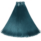 Hair Weft Luxury Natural Straight  — 100% Virgin Human Hair Extensions Teal Green LINKTOWIG