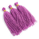 Kinky Curly 100% Raw Virgin  Human Hair Bundles - (No Weft) Bulk Hair  3 Bundles / Violet Purple LINKTOWIG