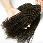 Kinky Curly Hair Bundles / Feather Hair Extensions — 100% Virgin Human Hair / aramel Balayage Highlights LINKTOWIG