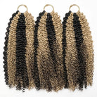 Kinky Curly Hair Bundles / Feather Hair Extensions — 100% Virgin Human Hair / Black and grey blended highlights LINKTOWIG