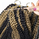 Kinky Curly Hair Bundles / Feather Hair Extensions — 100% Virgin Human Hair / Black and grey blended highlights LINKTOWIG