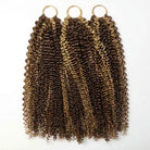 Kinky Curly Hair Bundles / Feather Hair Extensions — 100% Virgin Human Hair / Honey Blonde Highlights LINKTOWIG