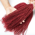 Kinky Curly Hair Bundles / Feather Hair Extensions — 100% Virgin Human Hair / Ruby Red LINKTOWIG