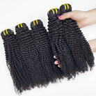 Kinky Curly Luxury Natural Hair Weft – 100% Virgin Human Hair / Wig Black LINKTOWIG