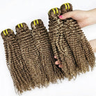 Kinky Curly Luxury Natural Hair Weft – 100% Virgin Human Hair / Wig Brown Mix Platinum Blonde Highlights LINKTOWIG