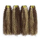 Kinky Curly Luxury Natural Hair Weft – 100% Virgin Human Hair / Wig Brown Mix Platinum Blonde Highlights LINKTOWIG