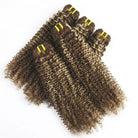 Kinky Curly Luxury Natural Hair Weft – 100% Virgin Human Hair / Wig Brown Mix Platinum Blonde Highlights LINKTOWIG