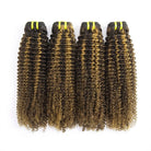 Kinky Curly Luxury Natural Hair Weft – 100% Virgin Human Hair / Wig Honey Blonde Highlights LINKTOWIG