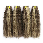 Kinky Curly Luxury Natural Hair Weft – 100% Virgin Human Hair / Wig Piano Highlight Silver Grey LINKTOWIG