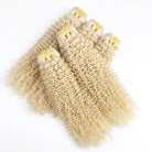 Kinky Curly Luxury Natural Hair Weft – 100% Virgin Human Hair / Wig Platinum Blonde LINKTOWIG
