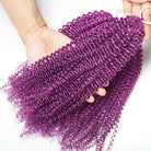 Kinky Curly Hair Bundles / Feather Hair Extensions — 100% Virgin Human Hair / Violet Purple LINKTOWIG